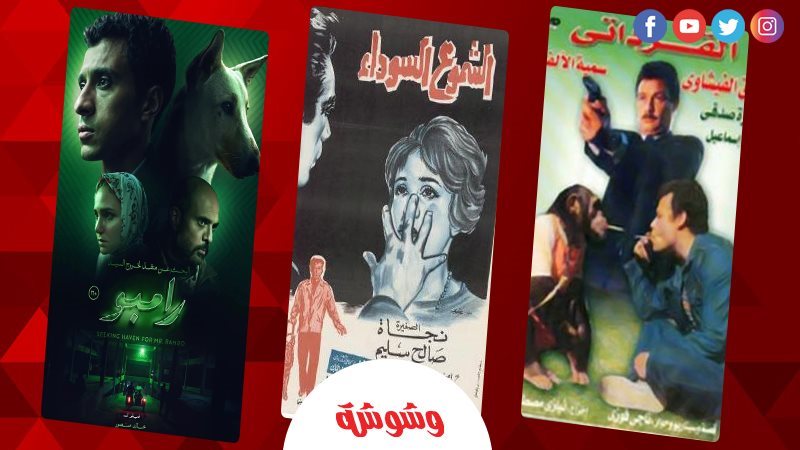 الأفلام