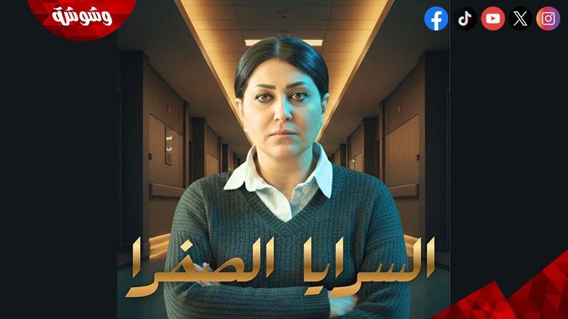 وفاء عامر