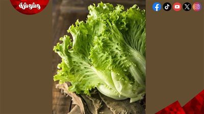 خبراء التغذية يكشفون فوائد تناول الخس يوميا