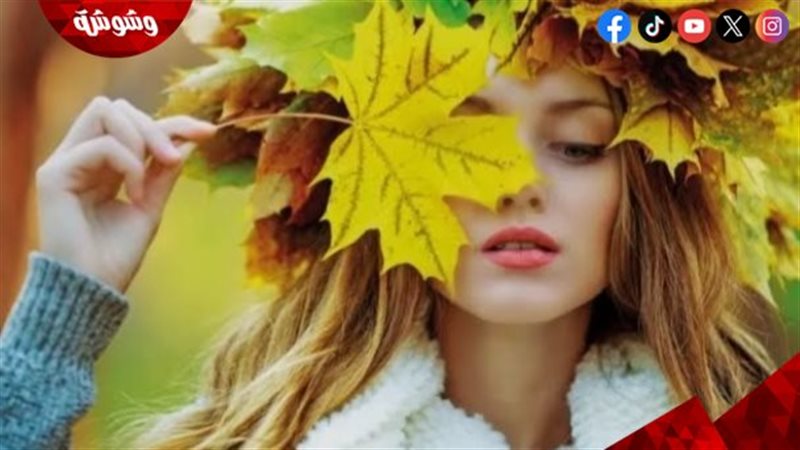 ماسكات للبشرة الدهنية