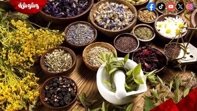 قبل رمضان.. مشروبات عشبية طبيعية لدعم الطاقة وتقليل التعب أثناء الصيام