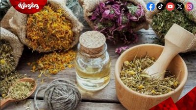 استعادة التوازن الهرموني.. خطوة فعّالة لتنشيط المبايض وتعزيز فرص الحمل