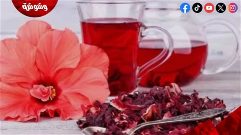 مشروب الكركدية 