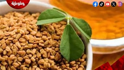 الحلبة للتخسيس.. كيف تدعم الشعور بالشبع بطريقة صحية؟