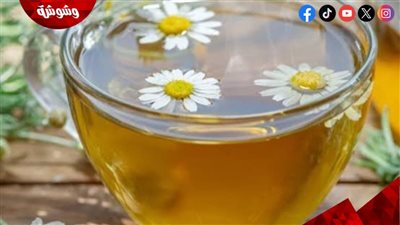 البابونج.. كنز عشبي بفوائد طبية متعددة للصحة والجمال