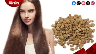 ماسك الحلبة المنقوعة.. وصفة طبيعية تعيد لشعركِ قوته وكثافته