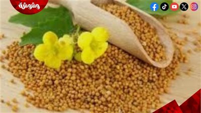 طرق التغلب على برودة القدمين لدى مرضى السكري