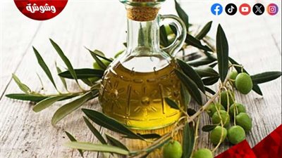زيت الزيتون في رمضان.. سر صحي يمنح الصائم طاقة ويحمي الجسم من مشكلات الهضم
