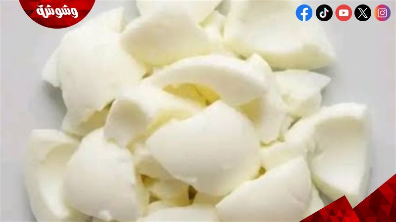 طبق يحتوي على بياض