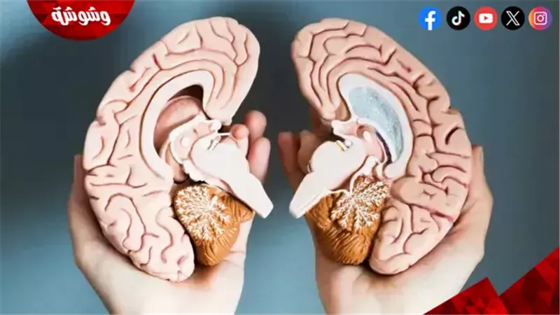 وشوشة