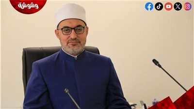 مفتي الجمهورية: الطلاق 