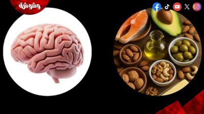 دماغك في رمضان.. خطوات بسيطة لحماية عقلك وتعزيز التركيز والذاكرة