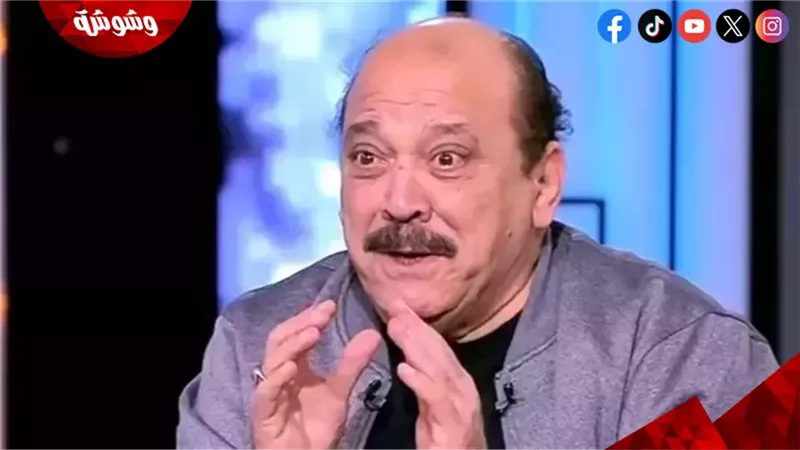ضياء الميرغني