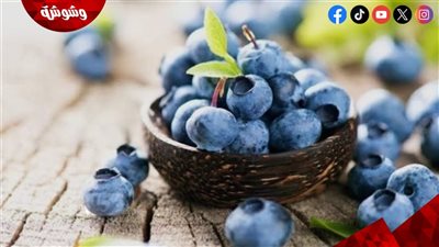 التوت الأزرق.. ثمرة صغيرة بفوائد كبيرة لصحة الجسم والمزاج