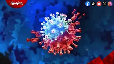 متحدث الصحة: 7 آلاف مرض نادر تصيب 300 مليون شخص حول العالم