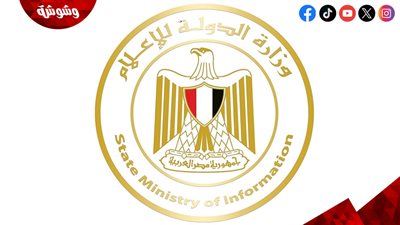 وزارة الإعلام تصدر بيانا عاجلًا لحماية علاقاتها مع الأشقاء العرب