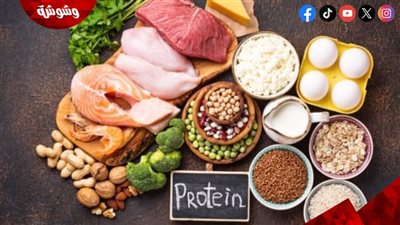 حقيقة خروج البروتين مع البول.. معلومات مهمة تصحح المفاهيم الشائعة