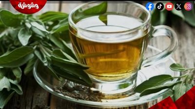 المرمية لتعزيز الخصوبة عند النساء.. فوائد طبيعية لا تُهمل
