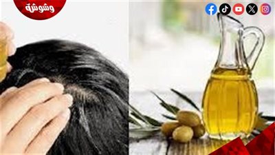 زيت الزيتون للشعر كنز طبيعي يعالج الجفاف والتقصف من أول استخدام