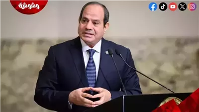 السيسي يوجه بإطلاق برنامج 