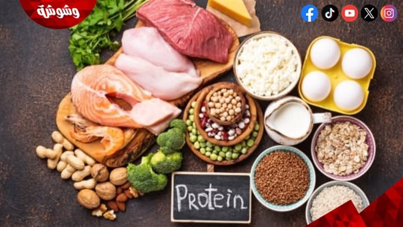 أطعمة بروتين