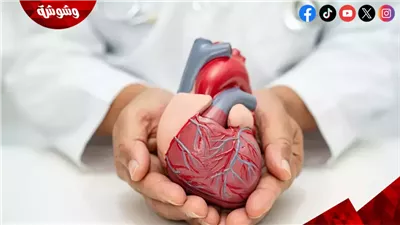 ابدأ من اليوم.. عادات سهلة تمنحك طاقة وصحة مستدامة
