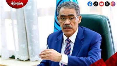 ضياء رشوان: أزمة الطاقة عالمية والإجراءات الحالية مؤقتة لحين استقرار الأوضاع