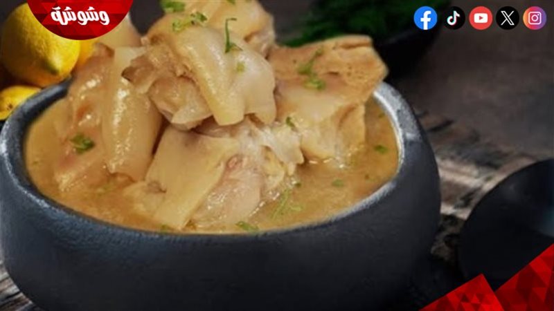 شوربة مغذية