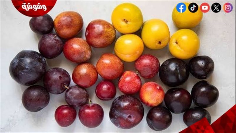 البرقوق