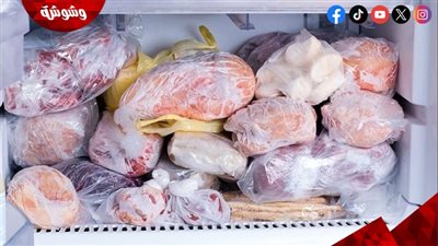 صحية أم لا.. الأطعمة المجمدة بين الحقيقة والشائعة