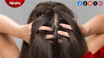 من الجذور حتى الأطراف.. روتين أسبوعي لتغذية الشعر بالزيوت الطبيعية