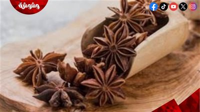 اليانسون النجمي.. فوائد طبيعية وتأثيرات تستحق الانتباه