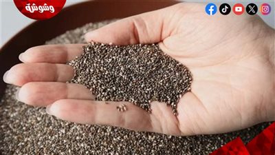 بذور طبيعية لضبط سكر الدم.. اكتشف فوائدها اليومية