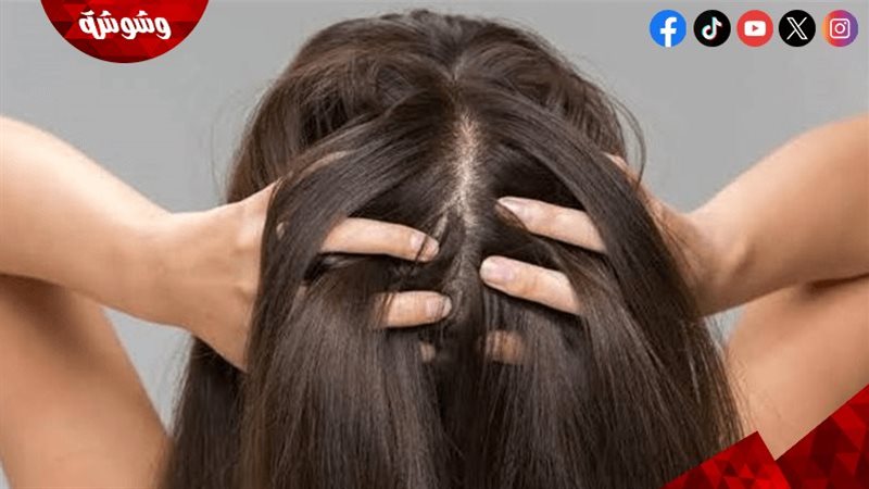 روتين الشعر