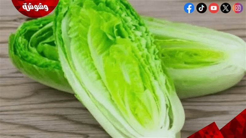 خس وخضروات طازجة