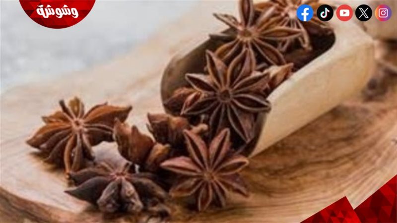 نجمة يانسون مع كوب