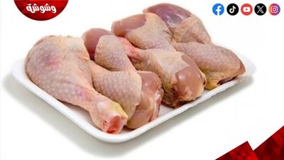 هبوط 30% في أسعار الفراخ.. شعبة الدواجن تكشف مفاجأة كبرى