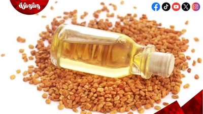 بديل للبوتوكس والكريمات باهظة الثمن.. تعرف على فوائد زيت الحلبة