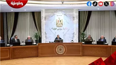  الحكومة تتحرك على عدة محاور.. تعديلات مرتقبة للمحليات واستقرار بالنقد الأجنبي