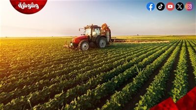 الزراعة: تقنيات حديثة تخفض تكاليف المزارعين 70% وتوفر المياه 30%