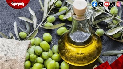 زيت الزيتون يتفوق على الزبدة.. دراسة تكشف سر حماية القلب وتقليل الكوليسترول