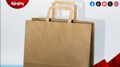 لا ترمي أكياس الورق البنية.. 10 أفكار عبقرية لإعادة استخدامها داخل منزلك