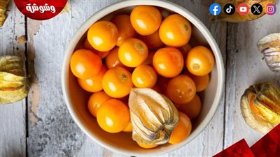 درعكِ الواقي.. دور الحرنكش في حماية الخلايا ومحاربة الأورام