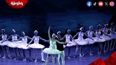 البجعات المسحورات تزين المسرح الكبير بالأوبرا في 4 ليالي ساحرة مبهرة