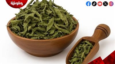 عشبة المليسة.. سر طبيعي لتهدئة الأعصاب والتخلص من القلق والتوتر