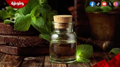 زيت النعناع.. كنز طبيعي لصحة الجهاز الهضمي والتنفس والبشرة