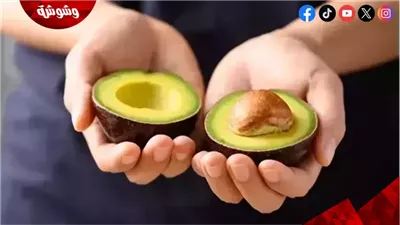 الأفوكادو والمانجو في طبق واحد.. سر جديد لصحة القلب