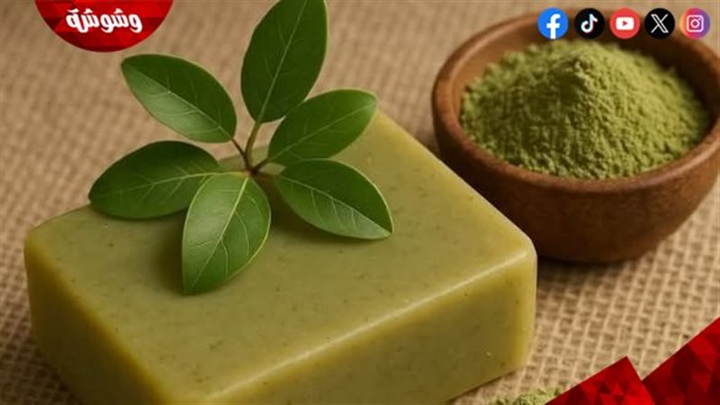 صابونة السدر