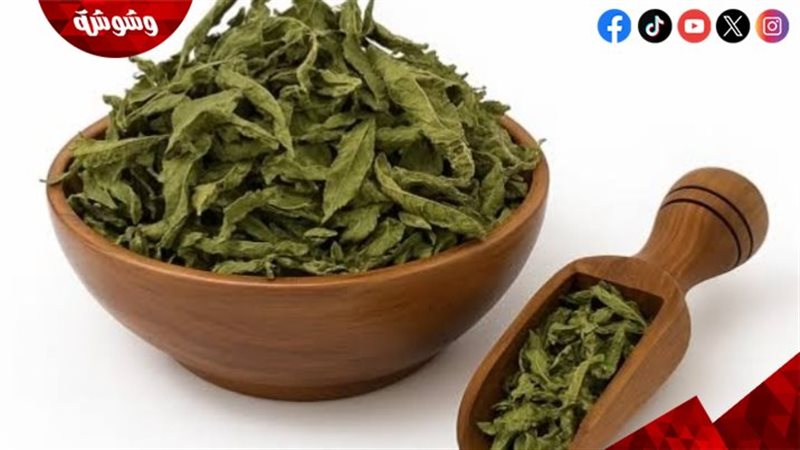 عشبة المليسة
