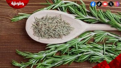 الروزماري.. عشبة بسيطة بقدرات مذهلة تعزز الصحة والجمال 